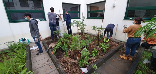 Voluntários em atividade de manutenção do jardim indígena localizado no pátio da sala de estudo do piso zero.